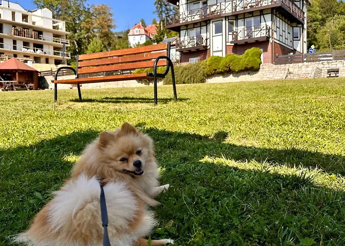 Apartament U Józka *